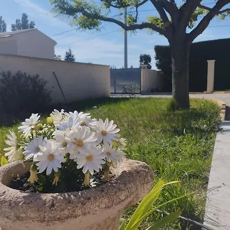 Holiday home Maisonnette En Campagne Au Calme Carpentras
